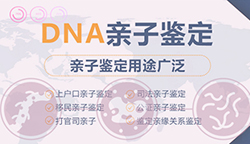 在南昌哪些医院能办理血缘检测,南昌医院办理亲子鉴定办理方式 在南昌哪些医院能办理血缘检测,南昌医院办理亲子鉴定办理方式